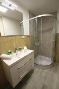 阿尔滕马克特蓬高伽斯霍夫马克特维特酒店的带淋浴、盥洗盆和镜子的浴室