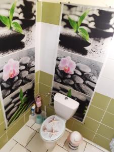 三河市Maison de la plage的浴室配有卫生间,墙上挂有鲜花