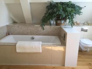 巴德利索尔特顿Park House的带浴缸的浴室,浴室内配备了卫生间和植物