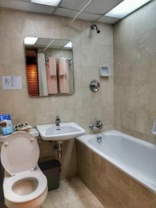 斯里巴加湾市特雷斯酒店的浴室配有卫生间、盥洗盆和浴缸。