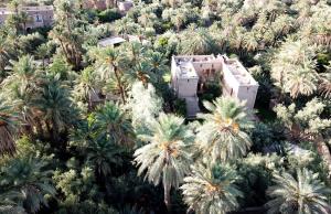 斯库拉勒马旅馆的享有棕榈树环绕的建筑的空中景致