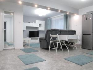特尔戈维什泰Apartament Sarra的带沙发和桌子的客厅以及厨房。
