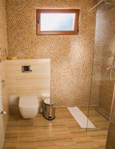 布拉索夫Villa Boutique ARNICA的一间带卫生间和淋浴的浴室