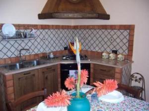 科克瑞诺Villa Laura的厨房配有带水槽和炉灶的桌子