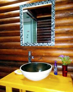 贝伦埃斯科巴Cabaña Alamos Altos的浴室设有水槽和木墙镜子