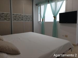大加那利岛拉斯帕尔马斯Apartamento Kings Vegueta的一间卧室配有一张带窗户的床和一台电视