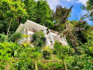 长滩岛可可洛克海滩度假酒店的被树木和植物包围的白色房子