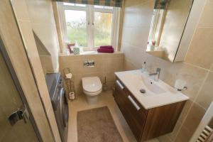 德里门Dunroamin Apartment的一间带水槽和卫生间的浴室以及窗户。