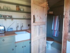 多切斯特Gaggle of Geese Pub - Shepherd Huts & Bell Tents的一间带水槽和卫生间的厨房