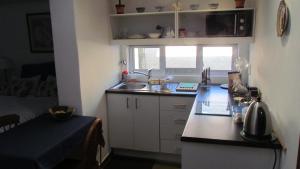 Springbank Guest Suite的厨房或小厨房