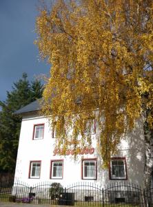 利波瓦拉尼Villa Plischke的前面有一棵树的白色房子