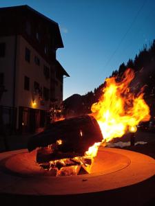 Roncobello奥洛比阿尔卑斯度假酒店的相册照片