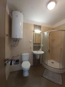 班斯科Luxury apartments in St. John Park的浴室配有卫生间、盥洗盆和淋浴。