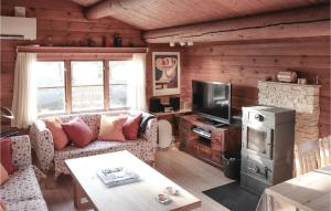 奥特鲁普2 Bedroom Cozy Home In Otterup的带沙发和电视的客厅