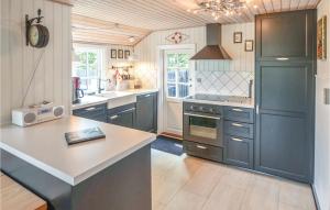 尼堡Cozy Home In Nyborg With Kitchen的厨房配有蓝色橱柜和白色台面