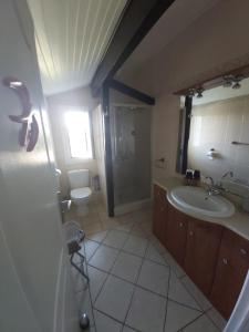 比达尔Euskadi的一间带水槽和卫生间的浴室