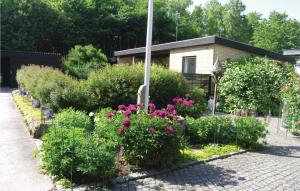 伦讷卡内加斯夫度假屋的一座种有粉红色花卉的花园及一座建筑