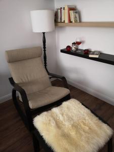 厄里圣彼得Vadóka ház的椅子和房间里的毛绒地毯