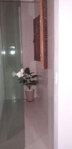 阿拉亚尔-杜卡布Bela casa的 ⁇ 在房间的角落里的盆栽植物