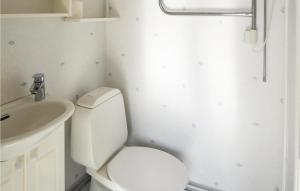 特鲁萨Lovely Home In Trosa With Wifi的一间带卫生间和水槽的浴室