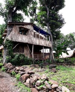 BalgueEl Bamboo Cabins的树旁的茅草屋顶的老房子
