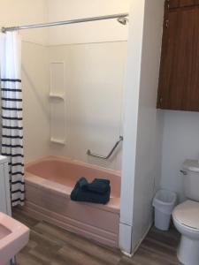 CanoraCozy Cottage的一间带粉色浴缸和卫生间的浴室