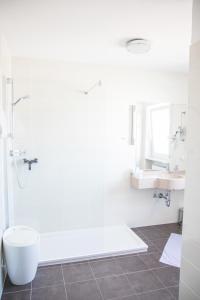 艾夏瓦纳旅馆酒店的带淋浴和盥洗盆的浴室