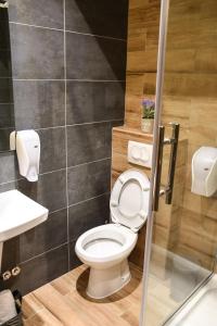 松博尔Stari Slon的一间带卫生间和水槽的浴室