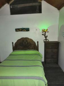 瓦哈卡市Hostal Oaxaca Magic的一间卧室配有一张带绿毯的床