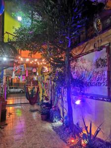 瓦哈卡市Hostal Oaxaca Magic的相册照片