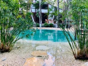 图卢姆Nahouse Jungle Lodges的植物屋前的游泳池