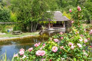 巴尔日蒙Mas La Jaina的一个带凉亭和一些粉红色玫瑰的花园