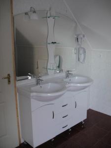 保克什Paks Panzió的一间带两个盥洗盆和大镜子的浴室
