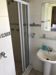 布隆方丹Weltevreden Game Lodge的带淋浴和盥洗盆的浴室