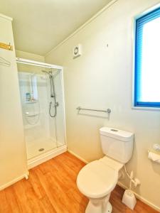 帕拉帕拉乌穆Atarau Grove Studio的一间带卫生间和淋浴的浴室