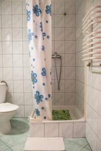 维斯瓦Zosienka - pokoje gościnne的浴室设有淋浴和蓝色花卉的浴帘