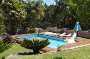格罗韦Villa Cuesta的院子里的游泳池,有天鹅
