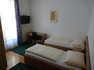 巴德伊舍加尔尼酒店及桑德维特旅舍的客房设有两张床、一张桌子和一台电视。