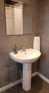 巴洛赫Levenhowe Holiday Apartment的浴室设有白色水槽和镜子