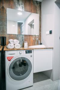 克拉科夫Vistula Terraces Apartment的厨房配有洗衣机和水槽
