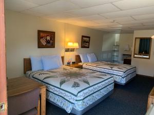 卡斯特Chief Motel的一间酒店客房,房间内设有两张床