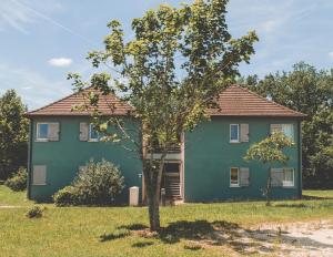普赖萨克Terres de France - Domaine de Claire Rive的前面有棵树的绿色房子