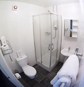 兰贝里斯格林佩里斯旅馆的带淋浴、卫生间和盥洗盆的浴室