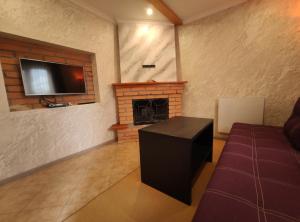 科索夫садиба Пан Коцький的客厅设有壁炉和平面电视。