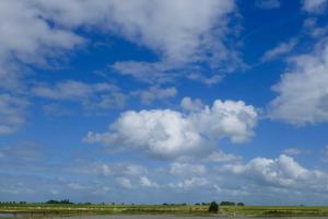 JemgumFerienhof van Vlyten_ 45006的风筝在蓝天上飞,云朵