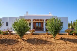 圣卡洛斯Casa Cristina Ibiza的两棵树在房子前面