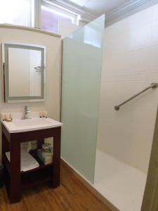 乔治敦卡拉洛奇酒店的一间带水槽和淋浴的浴室