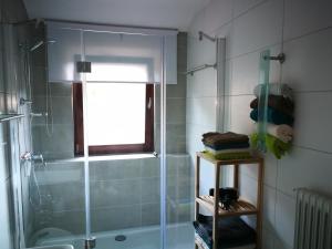 巴特萨克萨Ravensbergblick - harzlich willkommen in Bad Sachsa的带淋浴和玻璃淋浴间的浴室(位于后门)