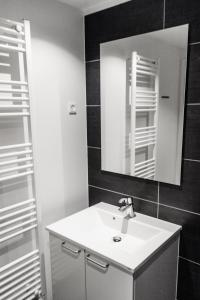 伊卢利萨特艾斯菲尔得公寓酒店的一间带水槽和镜子的浴室