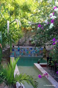 梅里达拉潘特拉内格拉住宿加早餐旅馆的花园中种有树木和鲜花的游泳池